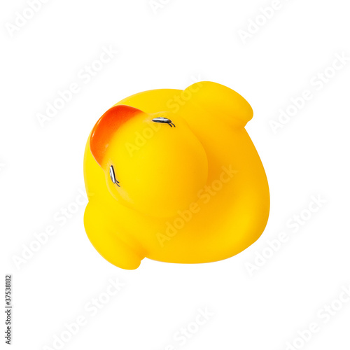Schilderij op canvas Cute yellow rubber duck isolated, top view.