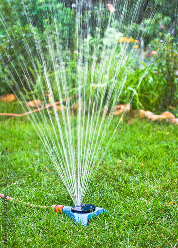 Watering hose and lawn sprinkler - water gardening tools.
