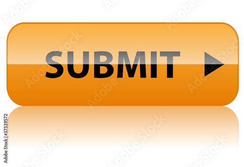 "SUBMIT" Web Button (click here validate continue next confirm)