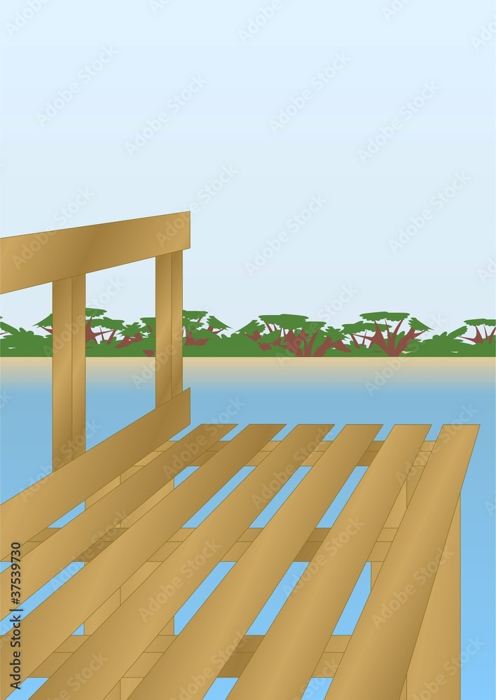Fototapeta premium Footbridge on the river.