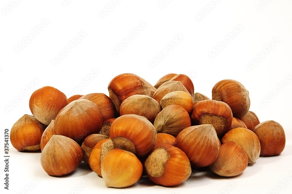 hazelnuts hazelnuts
