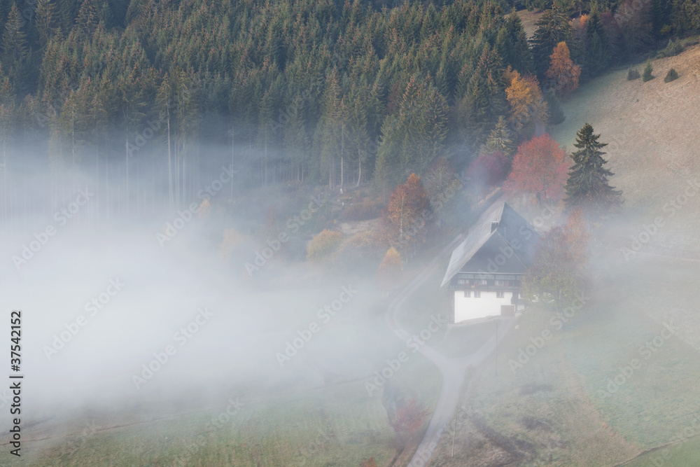 Fototapeta premium Bauernhasu im Nebel