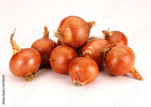 Cebollas