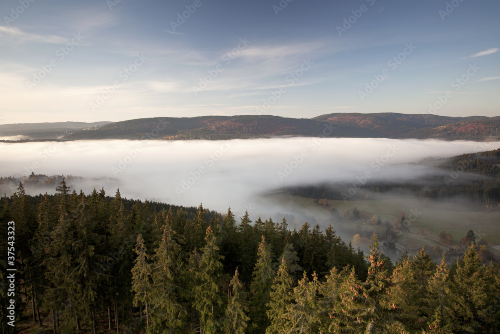 Schwarzwaldmorgen Schwarzwaldmorgen