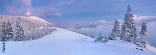Panorama of the winter landscape in the mountains