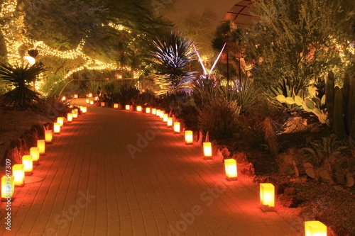 festive luminarias line a garden path at Christmas