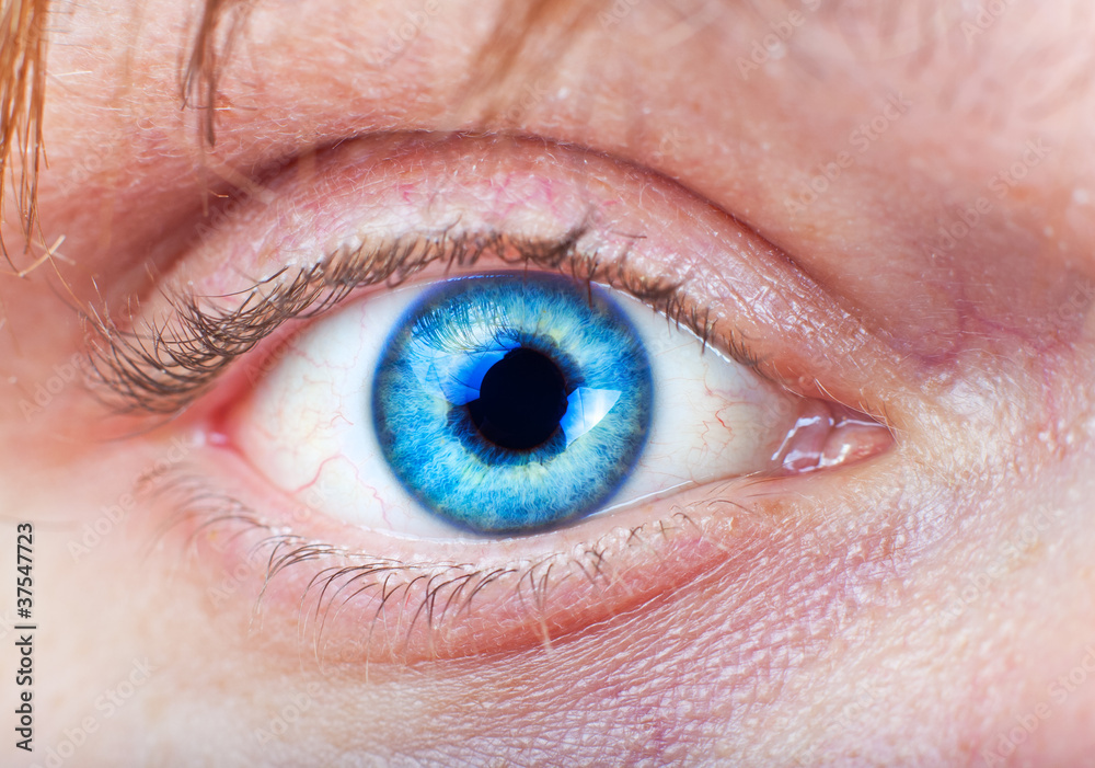 Fototapeta premium Close-up of blue eye