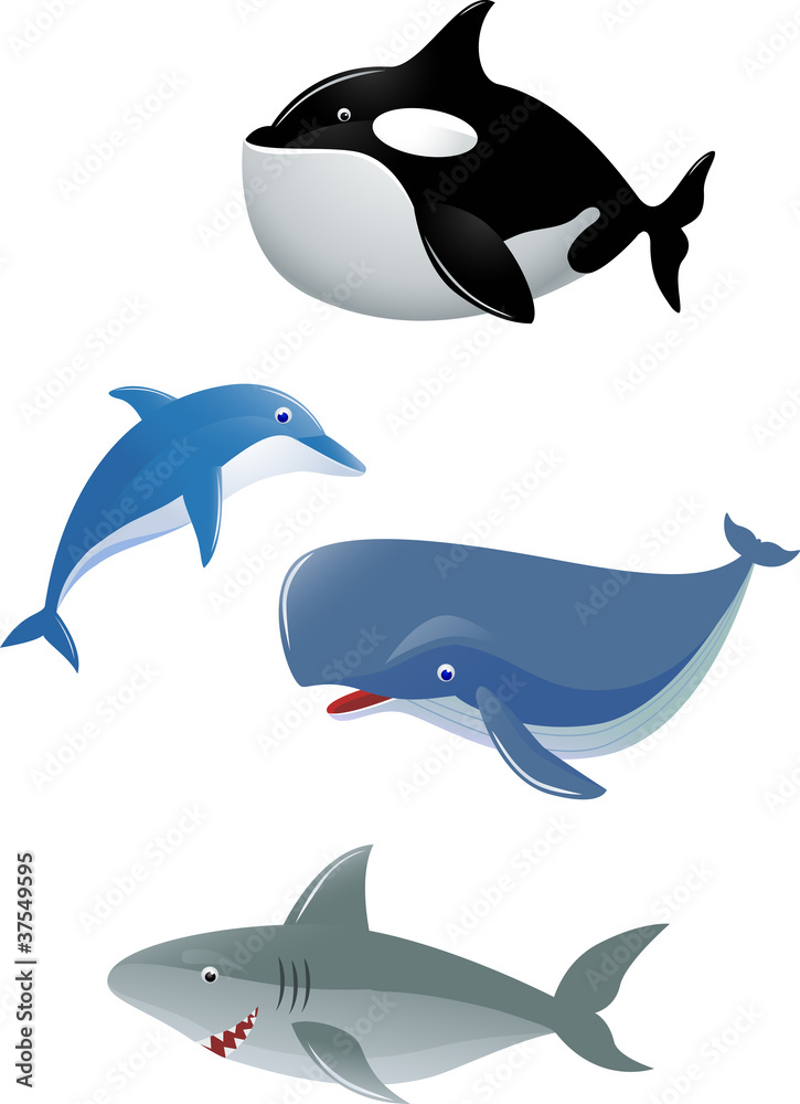 Fototapeta premium Sea life