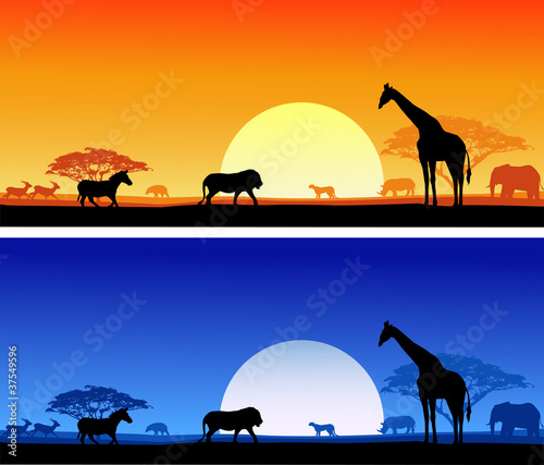 Safari background