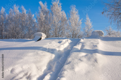 Fototapeta Naklejka Na Ścianę i Meble -  Winter  scenery