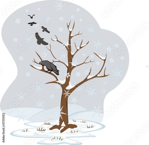 winter tree - four seasons