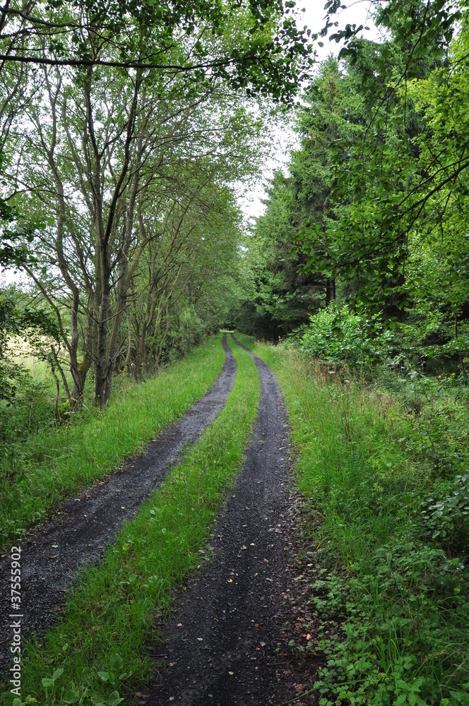 Fototapeta premium Emmerichenhain Landschaft