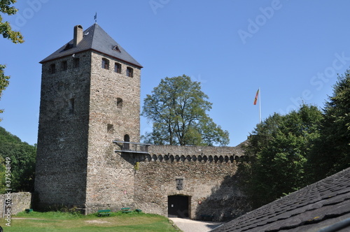 Alte Burgruine bei Schloss Sayn photo