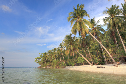 Tropical Beach