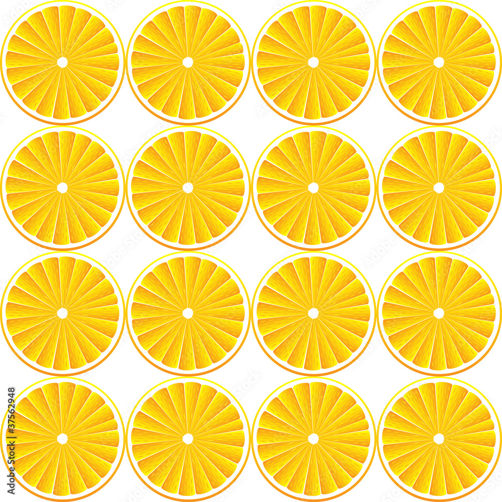 Vector background with oranges Vector background with oranges