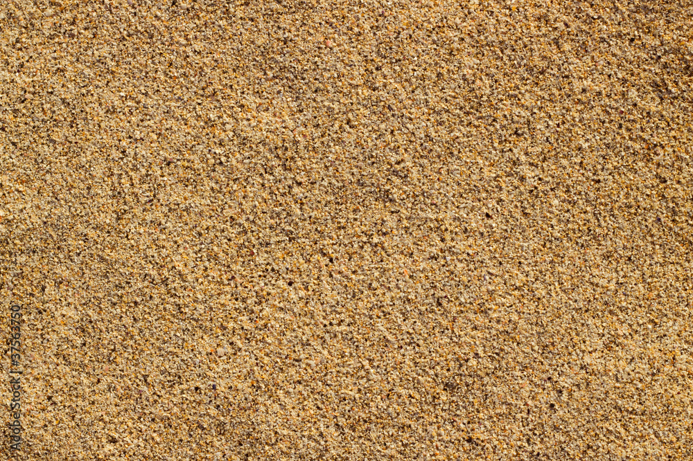 Macro close up tiny grains of sand on a beach. Macro close up tiny grains of sand on a beach.