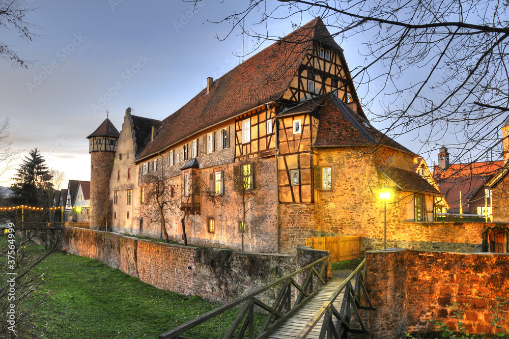 Burg in Michelstadt