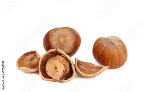 Картината върху платно hazelnuts isolated