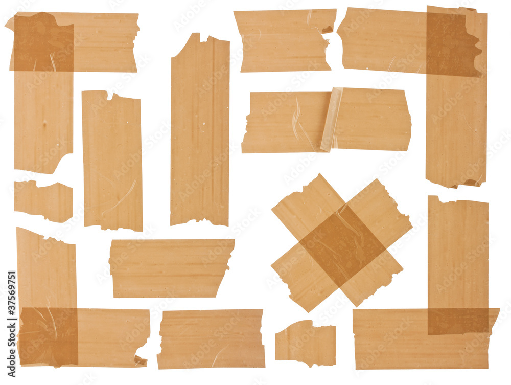 different fragments of the brown scotch different fragments of the brown scotch
