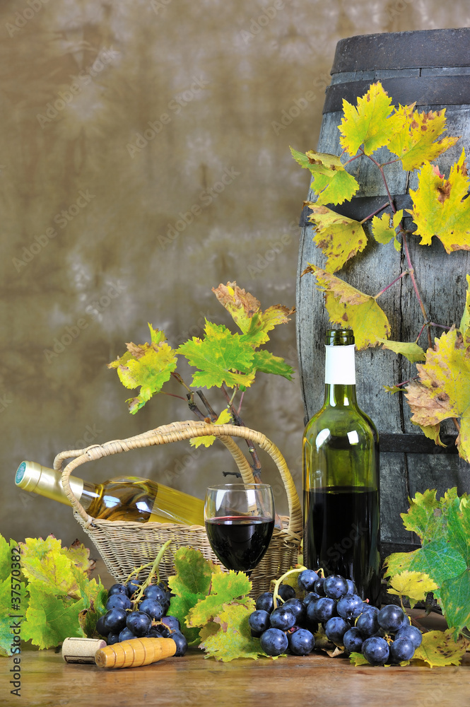 Fototapeta premium dégustation de vin rouge et blanc