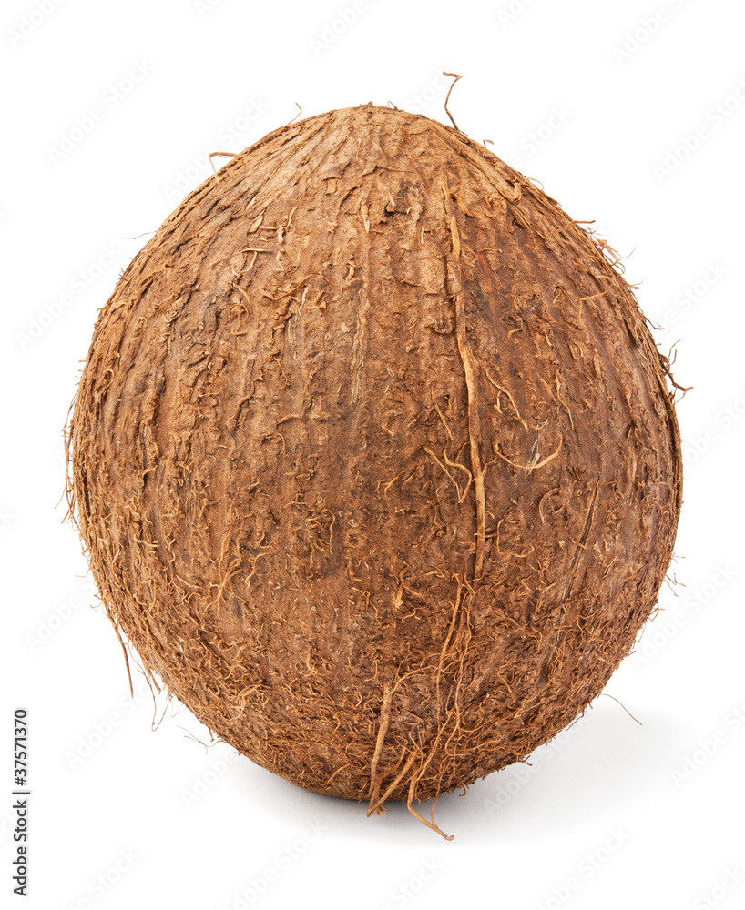 single coconut single coconut