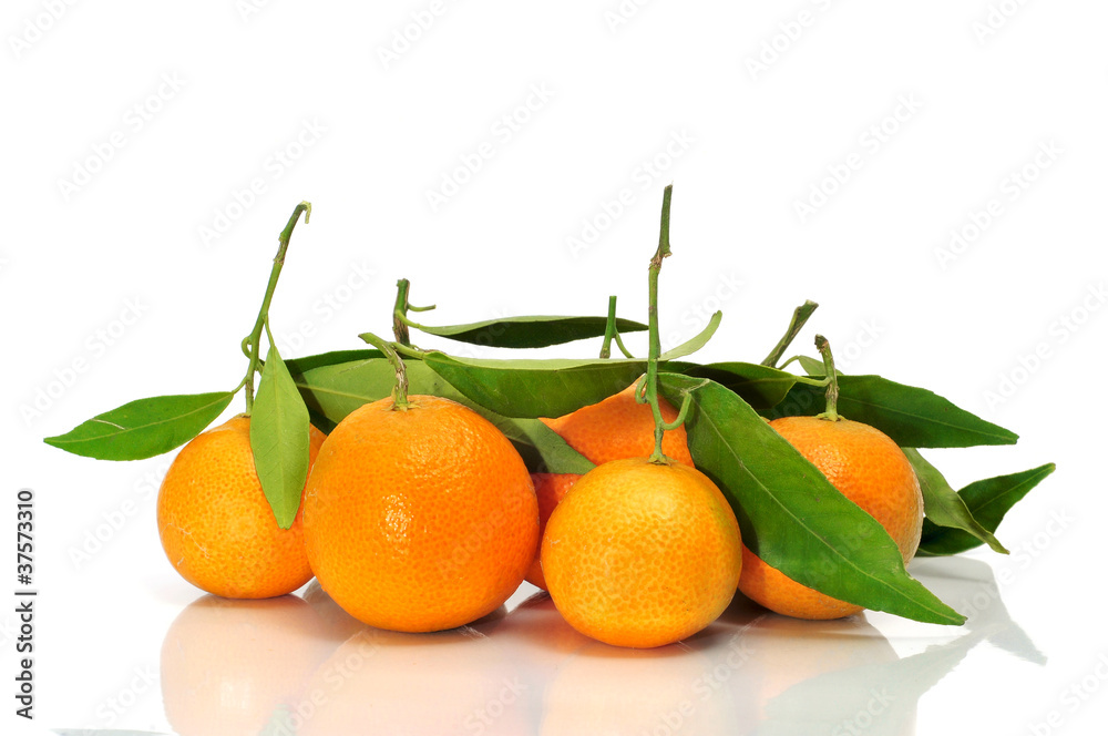 tangerines tangerines