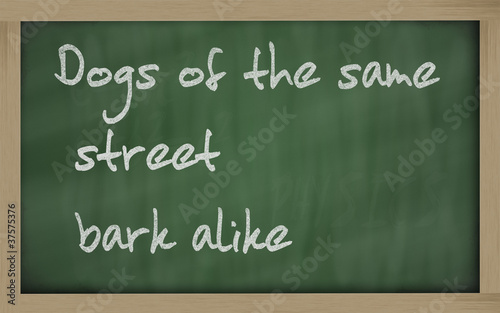 " Dogs of the same street bark alike " written on a blackboard