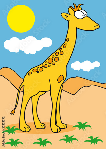 girafe savane désert paysage décor