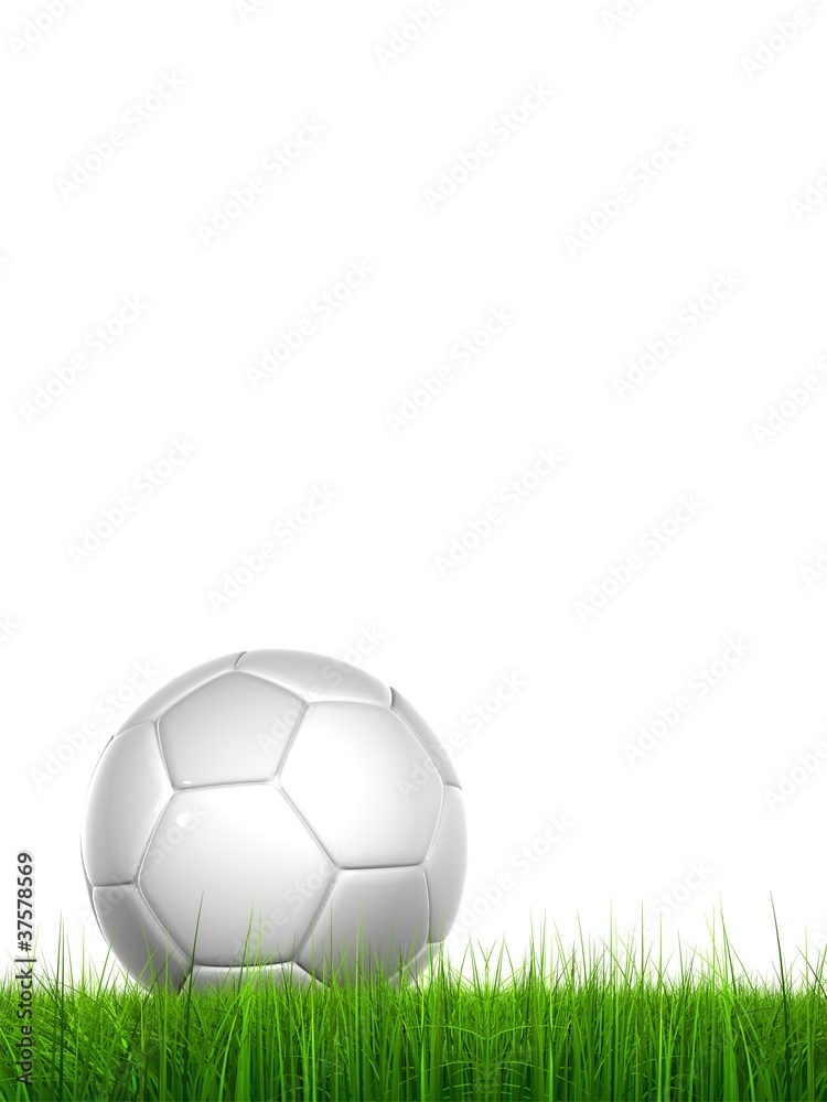 High resolution soccer ball in grass High resolution soccer ball in grass