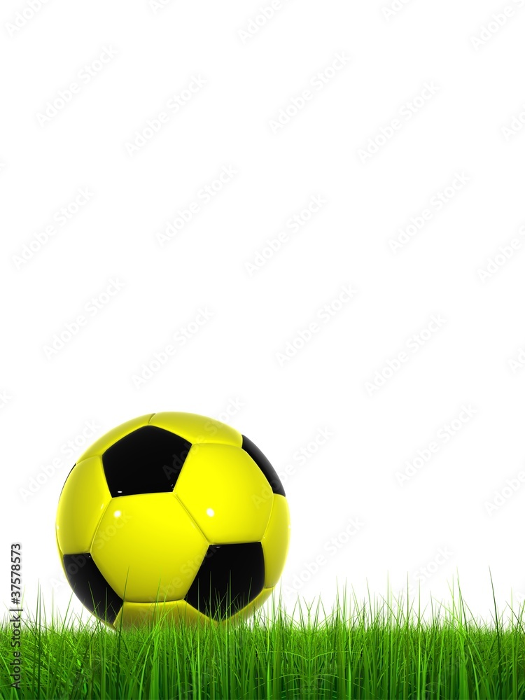 Fototapeta premium High resolution soccer ball in grass