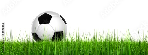 High resolution soccer ball in grass