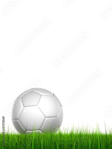 High resolution soccer ball in grass © high_resolution