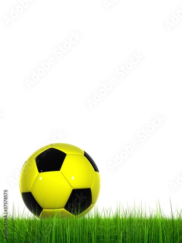 High resolution soccer ball in grass