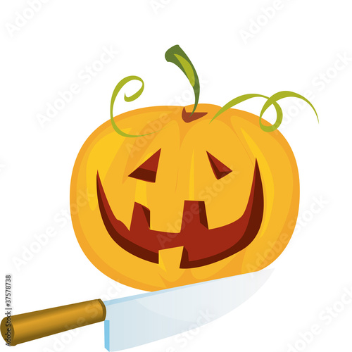 zucca