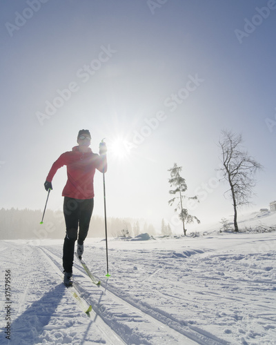 Langläuferin im Gegenlicht photo