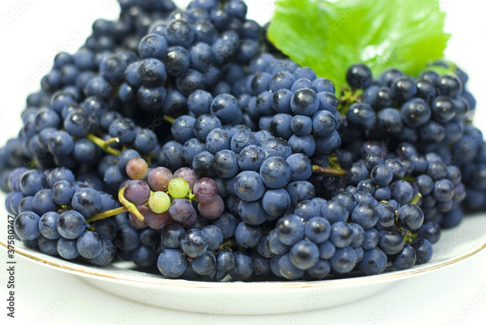 fresh black grapes with leaves on white background fresh black grapes with leaves on white background