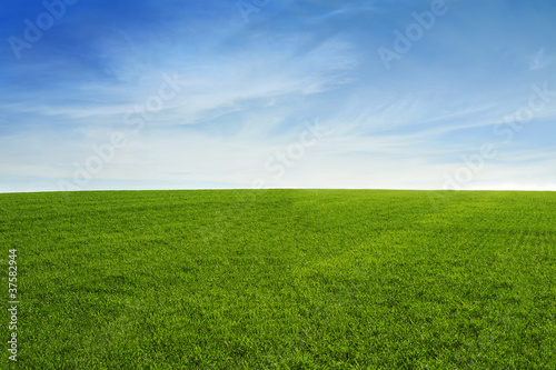 Grass field with blue sky © maxsaf