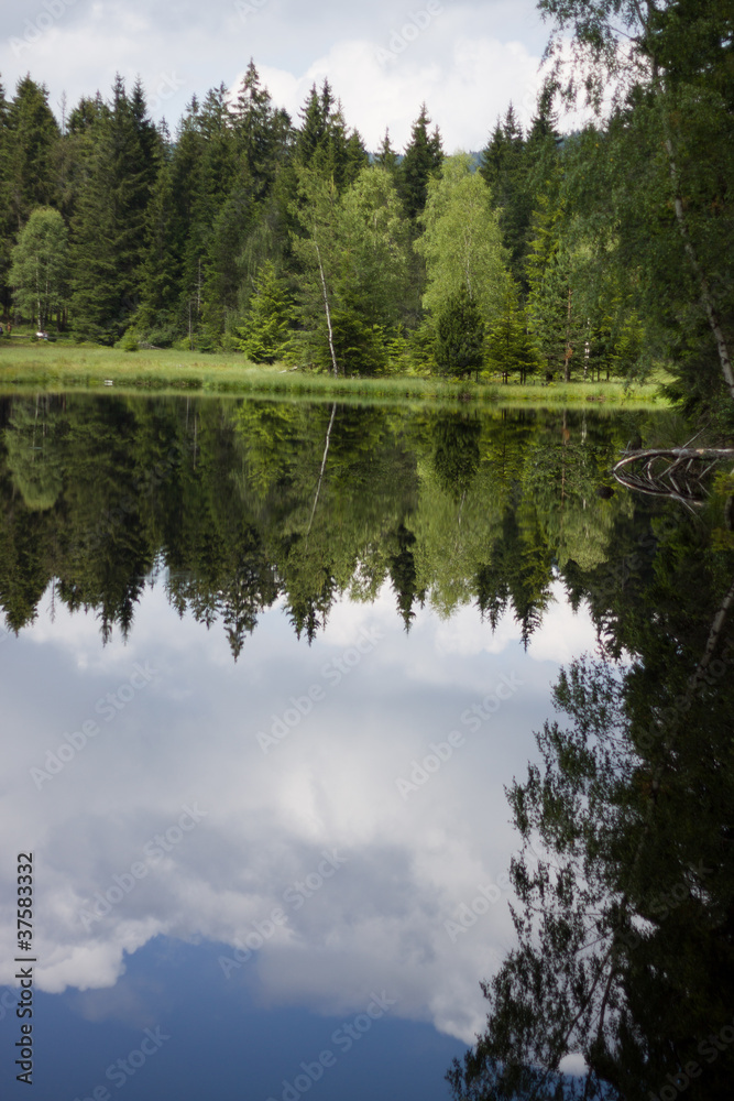 Obraz premium Spiegel Bild