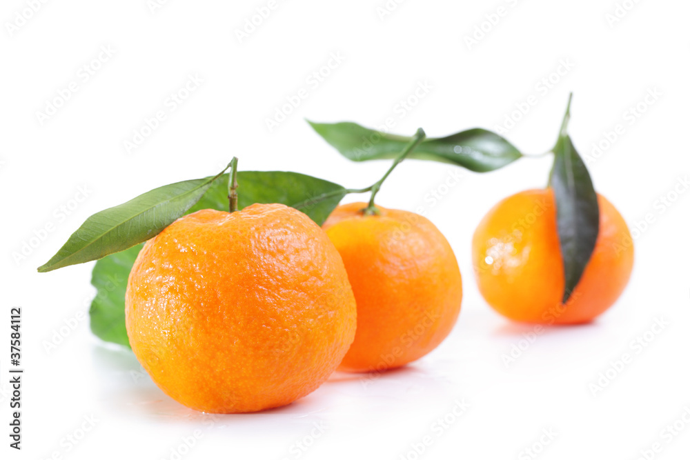 Mandarins. Mandarins.