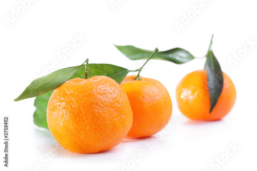Mandarins.