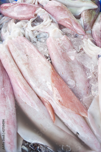 Fresh squid in local market,Thailand