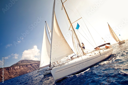 Sailing ship yachts with white sails © Andrew Bayda