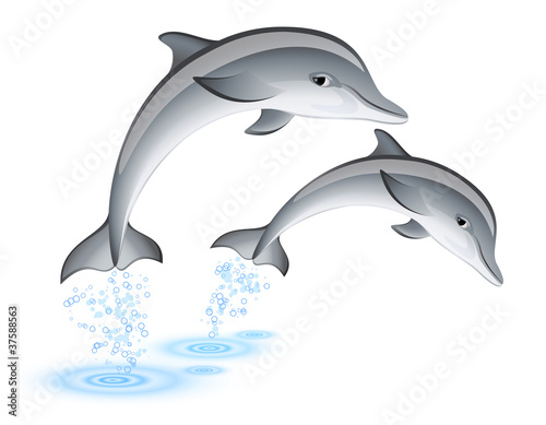 Jumping dolphins