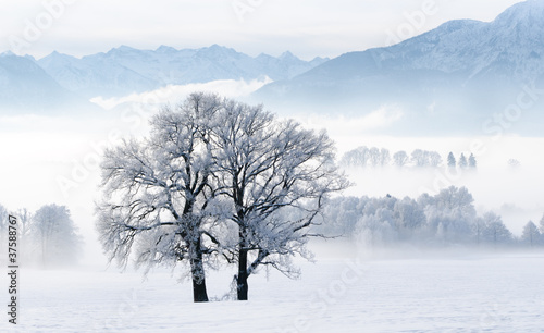 Winter in den Bergen