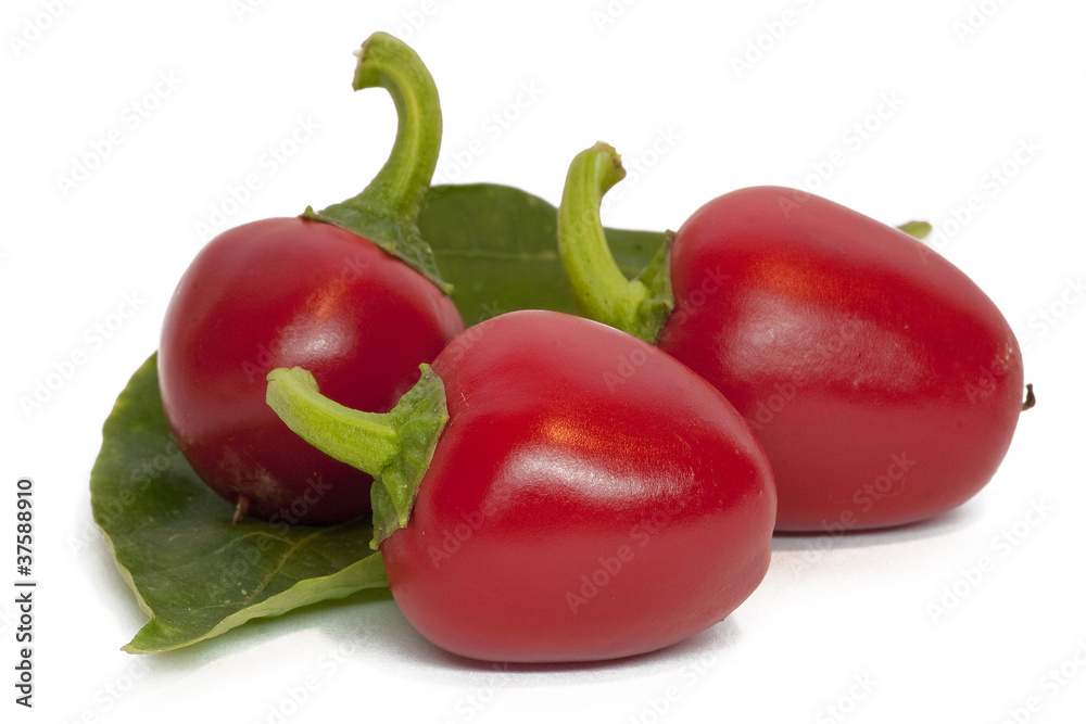 Peperoni Peperoni
