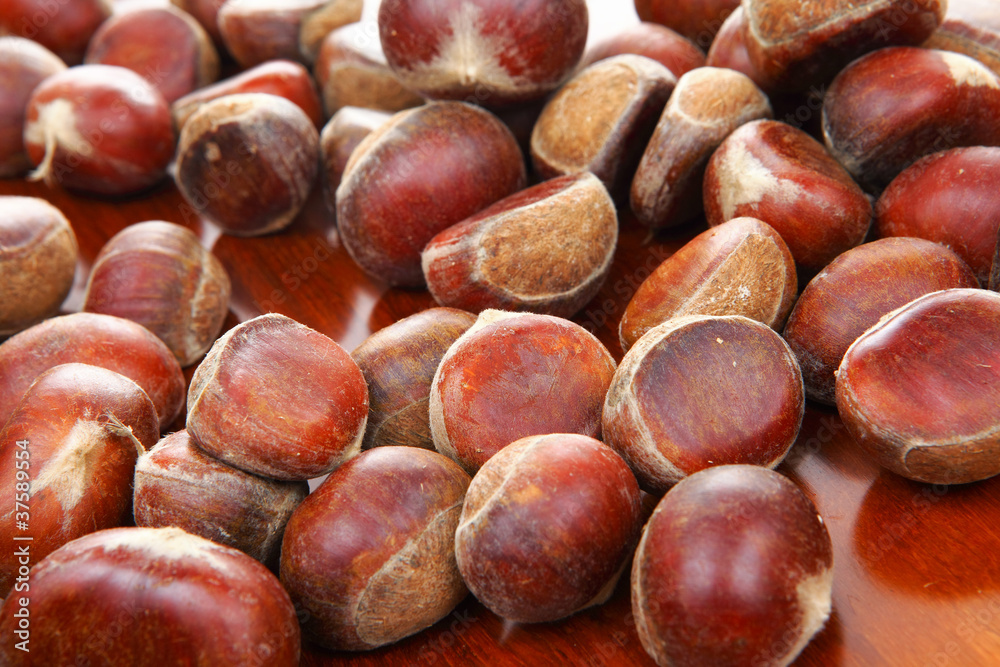 chestnut chestnut