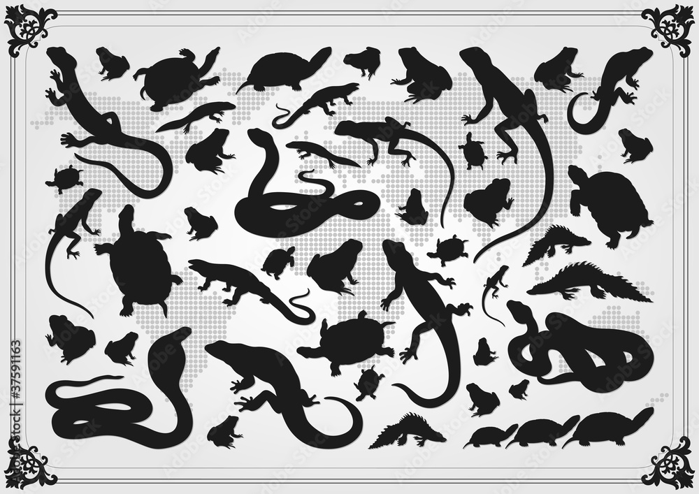Fototapeta premium Cute amphibian reptile illustration collection background