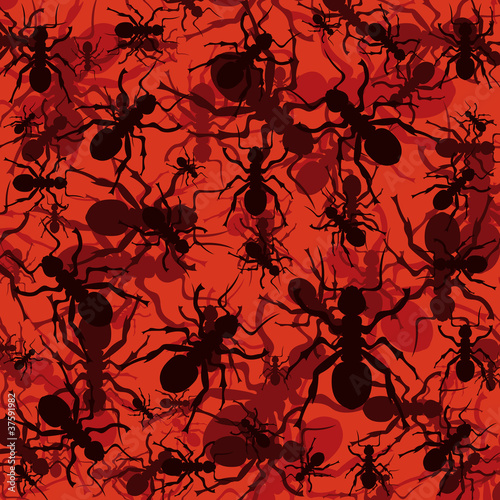 Ant colony colorful illustration background