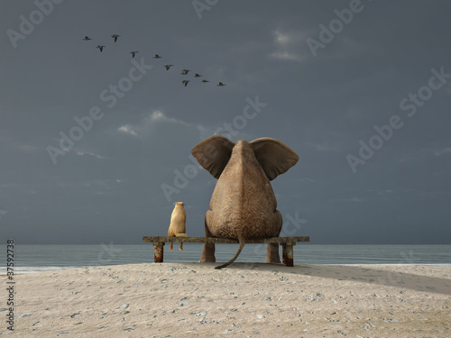elephant and dog sit on a beach