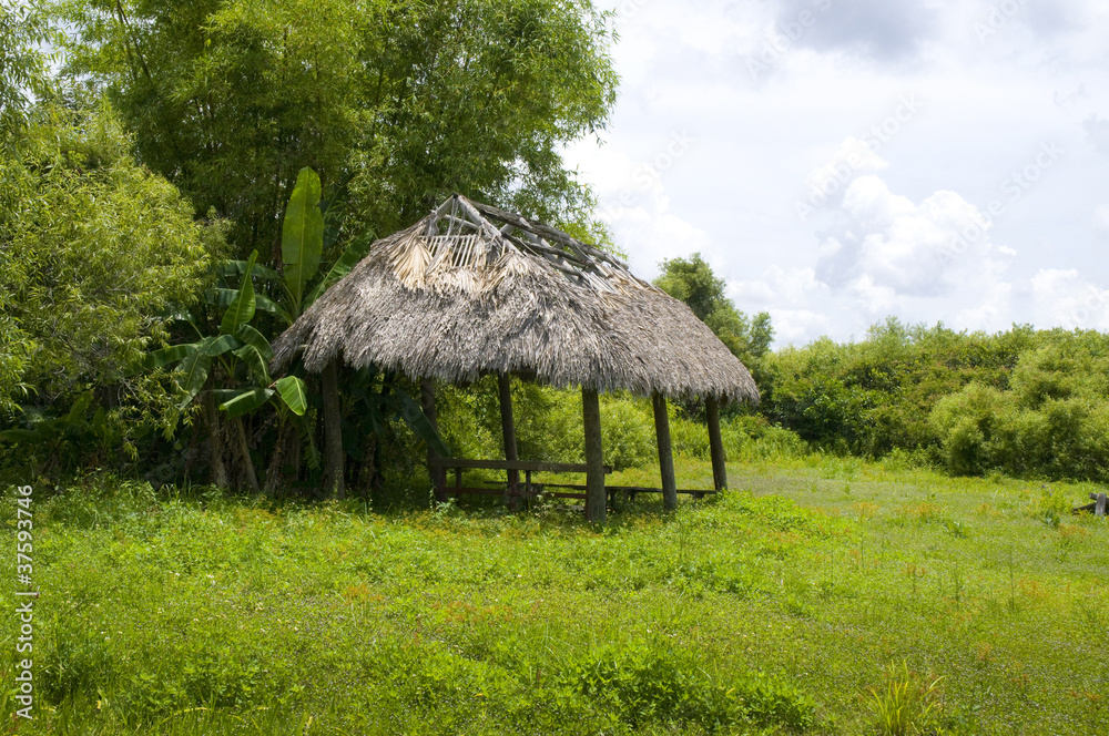 Seminole shelter in the Everglades Florida USA Seminole shelter in the Everglades Florida USA